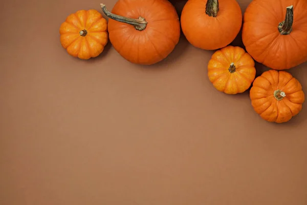 Крупный План Классических Апельсиновых Детских Тыкв Выделенных Бумажном Текстурированном Фоне — стоковое фото