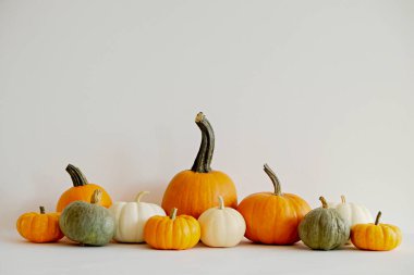 Parlak arkaplan üzerinde izole edilmiş farklı türde balkabakları, şekiller ve renkler metin için bir sürü kopya alanı ile sonbahar tatillerinin bir sembolü olarak.