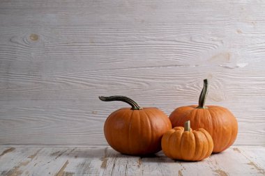 Beyaz homurdanmış ahşap arka planda üç klasik turuncu balkabağı yakın çekim bir sembol olarak sonbahar tatillerinde metin için bir sürü kopya alanı ile