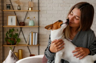 Kanepede sevimli Jack Russell Terrier köpeği ile oynayan genç ve güzel hippi kadının portresi. Köpeğiyle eğlenen bir kız. Arkaplan, kapat, boşluğu kopyala