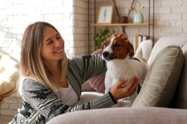 Kanepede sevimli Jack Russell Terrier köpeği ile oynayan genç ve güzel hippi kadının portresi. Köpeğiyle eğlenen bir kız. Arkaplan, kapat, boşluğu kopyala