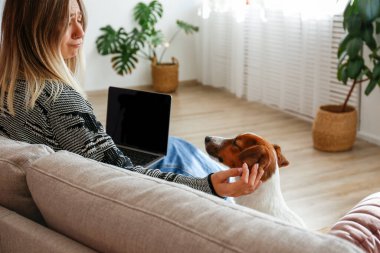 Evde sevimli Jack Russell Terrier köpeği ile çalışan genç ve güzel hippi kadının portresi. Oturma odasında güneş ışığıyla dolu. Lofty iç arkaplan, kapat, kopyala boşluk.