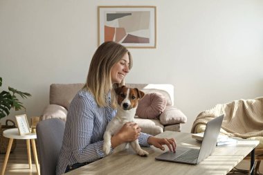 Masanın başında oturan genç ve güzel bir kadın evde, oturma odasında serbest çalışıyor. Jack Russell Terrier köpeğiyle evinde rahat bir şekilde çalışan bir kadın. İç, arka plan, kapat, kopyala.