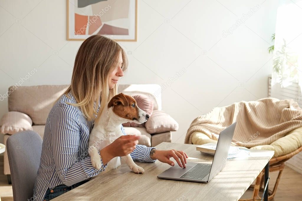 Young beautiful woman sitting by the table freelancing at home in the living room. Female working from comfort of her home with jack russell terrier puppy. Interior, background, close up, copy space.