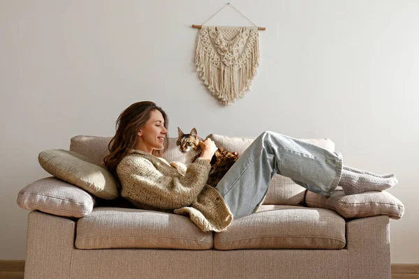 Yeşil gözlü şirin Sibirya kedisi tutan genç bir kadının portresi. Kadın uzun saçlı kediciğine sarılıyor. Arka plan, kopyalama alanı, kapatın. Tapılası evcil hayvan konsepti.