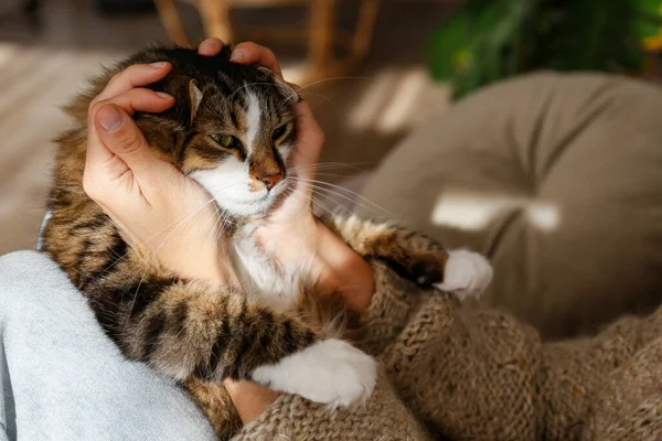 Cortado Tiro Mujer Joven Con Lindo Gato Doméstico Con Ojos — Foto de Stock