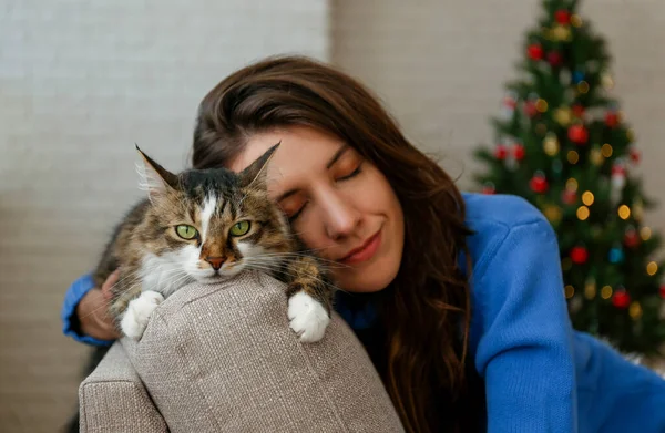 Güzel Sibirya uzun saçlı kedisi ve bulanık dekorlu Noel ağacının üzerindeki sahibi. Evdeki sevgili evcil hayvan portresi ve çam ağacının bokeh efektli ışıkları. Kapat, boşluğu kopyala.
