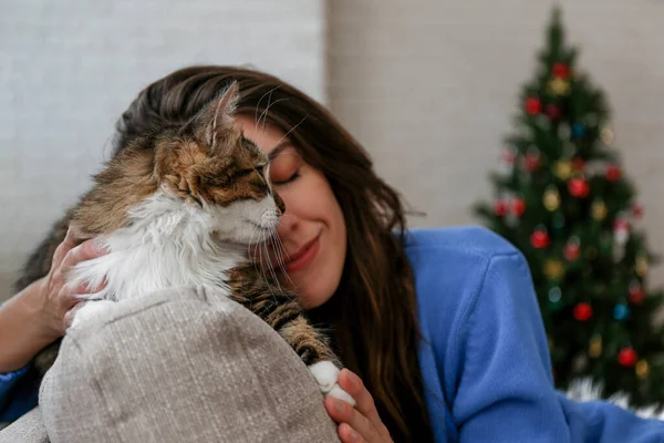 Güzel Sibirya uzun saçlı kedisi ve bulanık dekorlu Noel ağacının üzerindeki sahibi. Evdeki sevgili evcil hayvan portresi ve çam ağacının bokeh efektli ışıkları. Kapat, boşluğu kopyala.