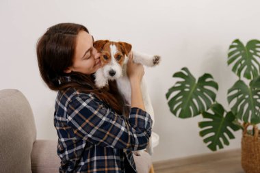 Sevimli dört aylık tel saçlı yavru köpeğiyle oynayan güzel bir kadının portresi. Sert kaplamalı sevimli kız eğleniyor. Arkaplan, kapat, boşluğu kopyala.