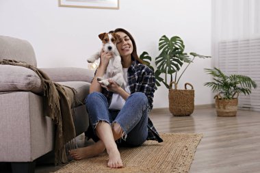 Sevimli dört aylık tel saçlı yavru köpeğiyle oynayan güzel bir kadının portresi. Sert kaplamalı sevimli kız eğleniyor. Arkaplan, kapat, boşluğu kopyala.