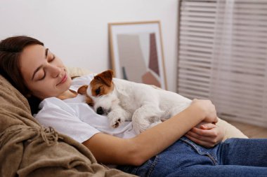 Papasan sandalyesinde uzanan genç ve güzel bir kadının portresi. Tel saçlı Jack Russel terrier köpeğiyle birlikte. Yavru köpekli güzel kız şekerleme yapıyor. Arkaplan, kapat, boşluğu kopyala.