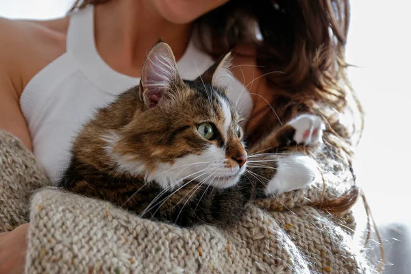 Retrato Mujer Joven Sosteniendo Lindo Gato Siberiano Con Ojos Verdes — Foto de Stock