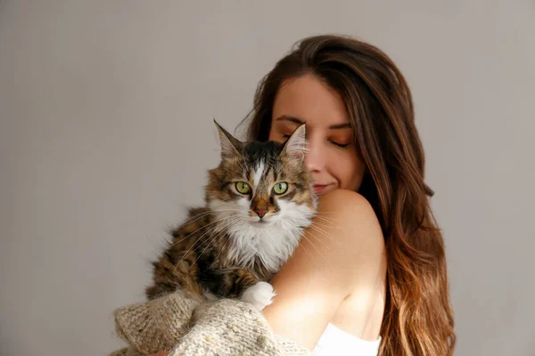 Retrato Mujer Joven Sosteniendo Lindo Gato Siberiano Con Ojos Verdes — Foto de Stock