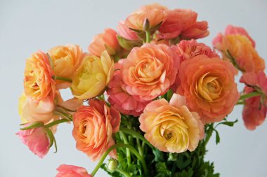 Güzel portakal ve kırmızı ranunculus buketi yakın çekim. Görünür taç yaprağı. Çiçek tomurcuklarının ayrıntılı parlak desenleri. Üst görünüm, arkaplan, metin için kopyalama alanı.