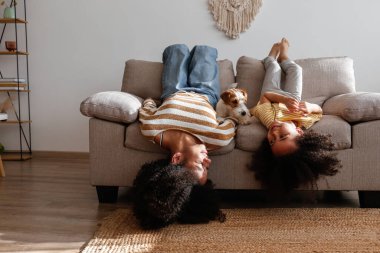 Farklı yaşlarda iki güzel siyah kız sevimli tel saçlı Jack Russel teriyerleriyle evde oynuyorlar. Sert kaplamalı sevimli kız kardeşler eğleniyor. Arkaplan, kapat, boşluğu kopyala.