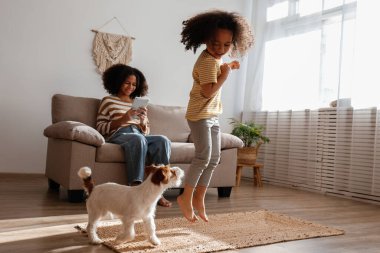 Farklı yaşlarda iki güzel siyah kız sevimli tel saçlı Jack Russel teriyerleriyle evde oynuyorlar. Sert kaplamalı sevimli kız kardeşler eğleniyor. Arkaplan, kapat, boşluğu kopyala.