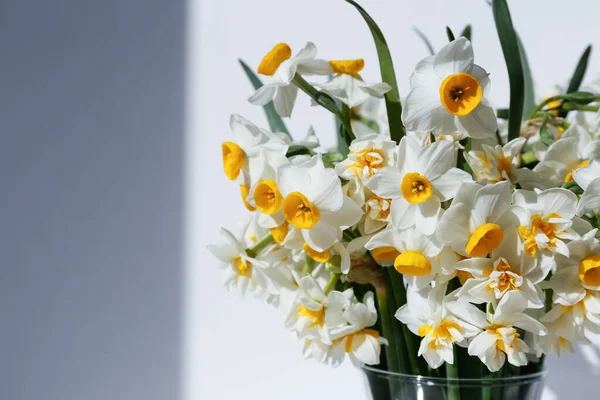 Букет Белых Нарциссов Стеклянной Вазе Столе Естественный Солнечный Свет Narcissus — стоковое фото