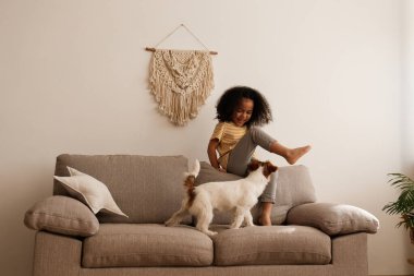 Little black girl playing with her friend, the adorable wire haired Jack Russel terrier puppy at home. Preschooler with rough coated pup lying on the couch. Interior background, close up, copy space. clipart