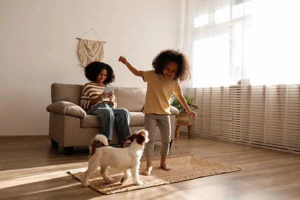 Farklı yaşlarda iki güzel siyah kız sevimli tel saçlı Jack Russel teriyerleriyle evde oynuyorlar. Sert kaplamalı sevimli kız kardeşler eğleniyor. Arkaplan, kapat, boşluğu kopyala.