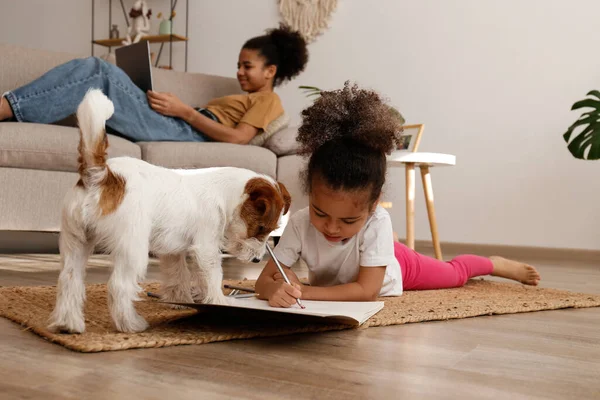 Farklı yaşlarda iki güzel siyah kız sevimli tel saçlı Jack Russel teriyerleriyle evde oynuyorlar. Sert kaplamalı sevimli kız kardeşler eğleniyor. Arkaplan, kapat, boşluğu kopyala.