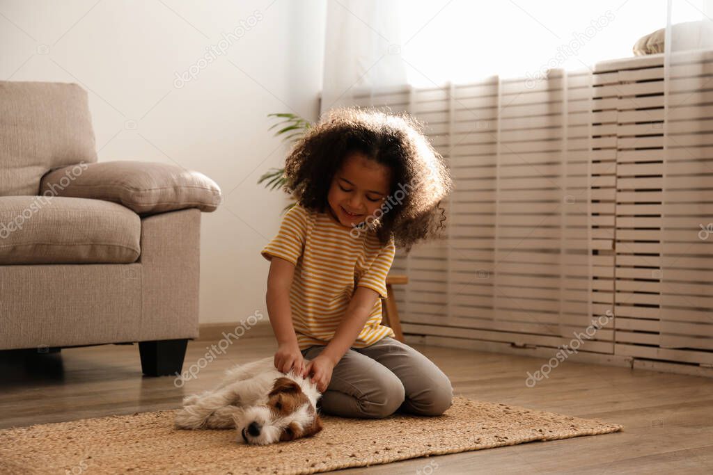 Little black girl playing with her friend, the adorable wire haired Jack Russel terrier puppy at home. Preschooler with rough coated pup sitting on the floor. Interior background, close up, copy space