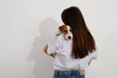 Genç ve güzel bir kadının stüdyo portresi. Tel saçlı yavru köpeği Jack Russel ile oynuyor. Sert kaplamalı sevimli kız eğleniyor. Beyaz duvar arkaplanı, kapat, boşluğu kopyala.