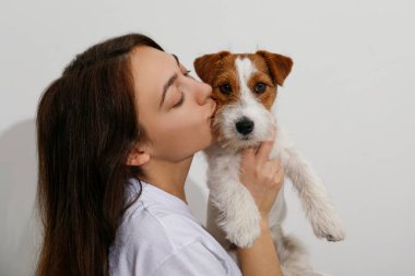 Genç ve güzel bir kadının stüdyo portresi. Tel saçlı yavru köpeği Jack Russel ile oynuyor. Sert kaplamalı sevimli kız eğleniyor. Beyaz duvar arkaplanı, kapat, boşluğu kopyala.