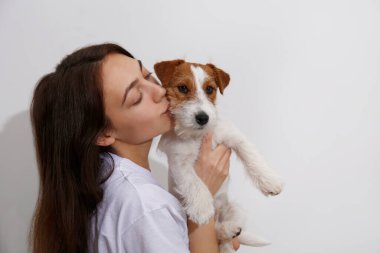 Genç ve güzel bir kadının stüdyo portresi. Tel saçlı yavru köpeği Jack Russel ile oynuyor. Sert kaplamalı sevimli kız eğleniyor. Beyaz duvar arkaplanı, kapat, boşluğu kopyala.