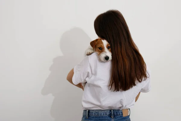 Mulher Feliz Descansando Com Seu Cachorro Imagem de Stock - Imagem de  moderno, maca: 270960225