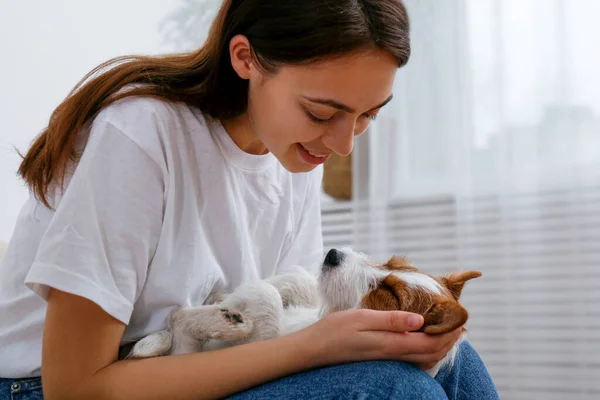 Sevimli Dört Aylık Tel Saçlı Yavru Köpeğiyle Oynayan Güzel Bir — Stok fotoğraf