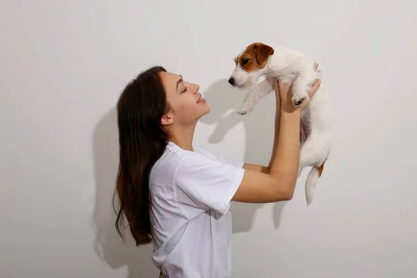 Retrato Estudio Una Joven Hermosa Mujer Jugando Con Adorable Cachorro — Foto de Stock