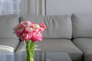 Ön planda vazoda iki renkli ranunculus çiçekleri ve arka planda gri tekstil kanepe olan cam sehpanın yakın çekimi. Uzayı kopyala, kapat, doğal ışık.