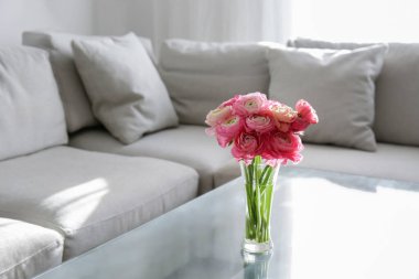 Ön planda vazoda iki renkli ranunculus çiçekleri ve arka planda gri tekstil kanepe olan cam sehpanın yakın çekimi. Uzayı kopyala, kapat, doğal ışık.