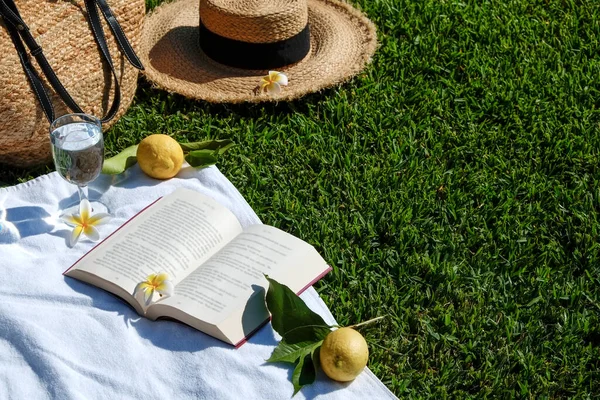 Lunch Break Park Picnic Blanket Open Book Lemons Beach Bag — Stockfoto