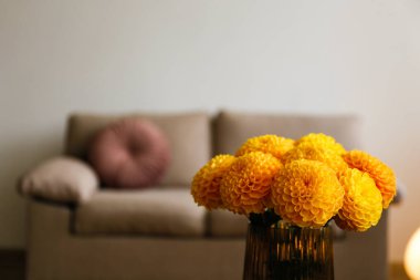 Cam bir vazoda güzel sarı yıldız çiçeği buketi ve arka planda kahverengi tekstil kanepesi yakın çekim. Uzayı kopyala, kapat, doğal ışık.