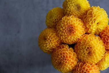 Grunted Stone desenli arka planda bir buket turuncu yıldız çiçeği ve metin için bir sürü kopya alanı. Kapat, üst görünüm.