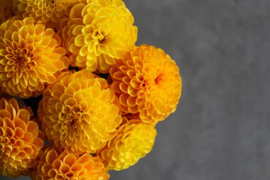 Grunted Stone desenli arka planda bir buket turuncu yıldız çiçeği ve metin için bir sürü kopya alanı. Kapat, üst görünüm.