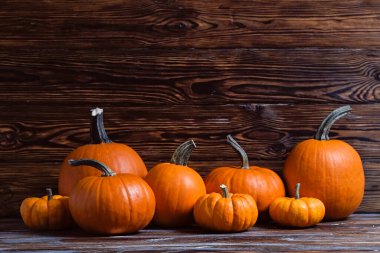 Klasik turuncu ve bebek balkabaklarının yakın plan çekimleri ahşap desenli masa arkaplanında sonbahar tatillerinin bir sembolü olarak, metin için bir sürü kopya alanı ile birlikte..