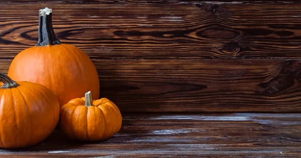 Close Shot Van Een Klassieke Oranje Baby Boo Pompoenen Hout — Stockfoto