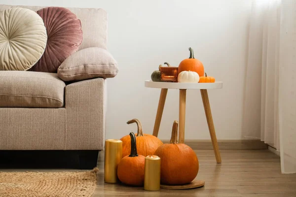 Bunch Pumpkins Different Kinds Shapes Colors Floor Table Couch Living —  Fotos de Stock