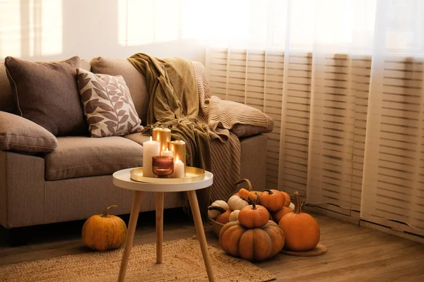 Bunch Pumpkins Different Kinds Shapes Colors Floor Table Couch Living — 图库照片
