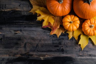 Thanksgiving background concept. Local produce pumpkin and autumn maple leaves as traditional autumnal holidays decoration on a dark wood table. Close up, copy space for text, top view, flat lay.