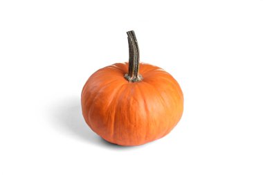 Close up shot of a single classic orange pumpkin isolated on white background as a symbol of autumnal holidays with a lot of copy space for text.