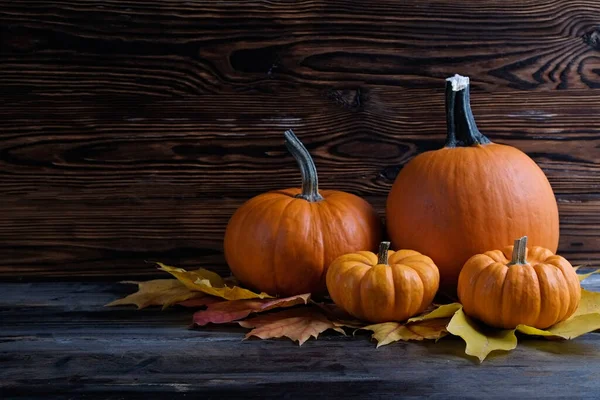 Thanksgiving Background Concept Local Produce Pumpkin Autumn Maple Leaves Traditional — Stockfoto