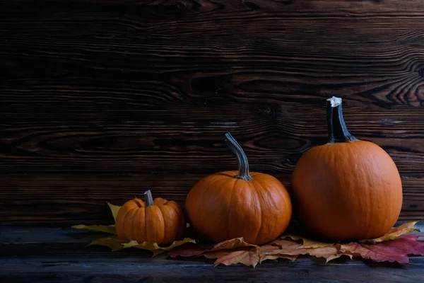 Thanksgiving background concept. Local produce pumpkin and autumn maple leaves as traditional autumnal holidays decoration on a dark wood table. Close up, copy space for text, top view, flat lay.