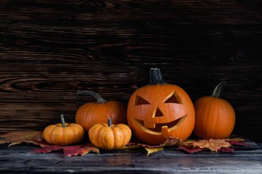 Big orange pumpkin carved into Jack o Lantern and a bunch of small ones on dark wood textured table. All hallows eve Halloween party decoration concept. Background, copy space, close up, top view.