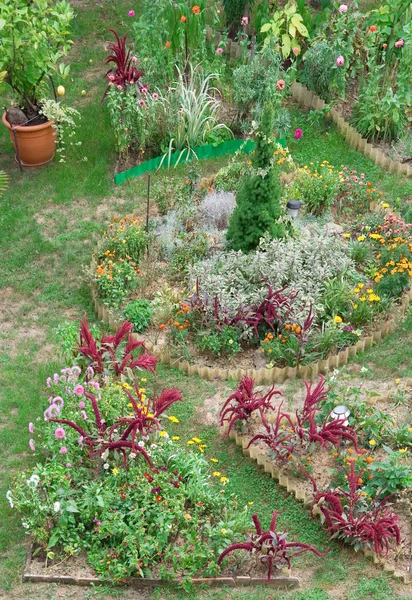 Backyard Garden — Stock Photo, Image