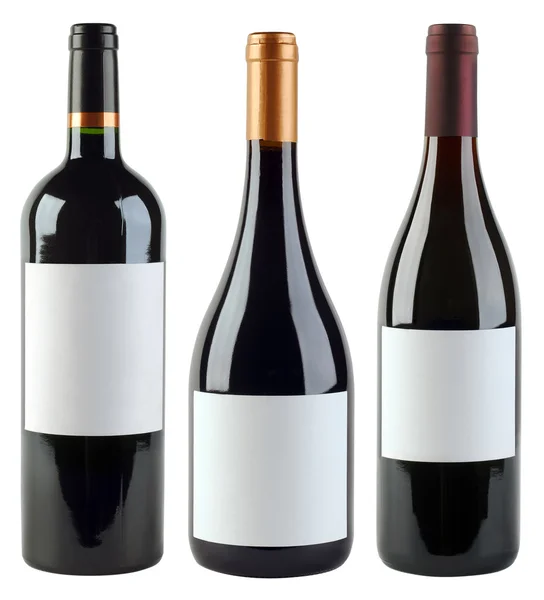 Plantilla de botellas de vino — Foto de Stock