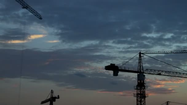 Construction cranes timelapse — Stock Video