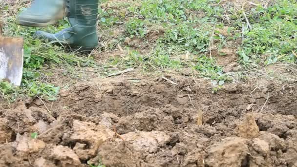 Creuser la terre par pelle de jardinage 